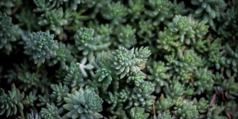 反向交易23：揭秘逆向思维如何颠覆传统交易策略