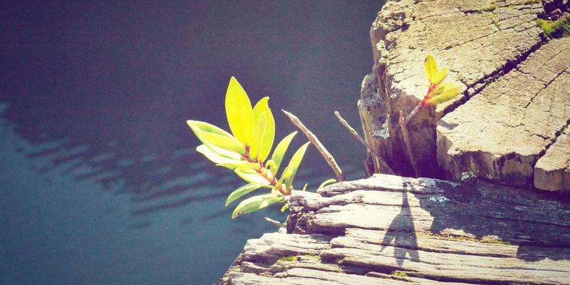 反向交易47：揭秘外汇与股票市场中的逆向投资策略