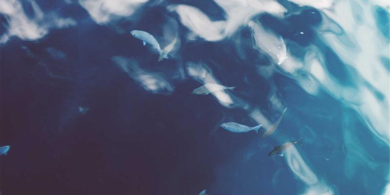 反向交易71：颠覆传统的投资策略解析与实战应用