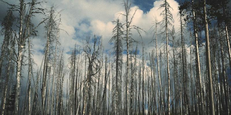 反向交易81法则：逆向思维如何成为投资市场的破局利器