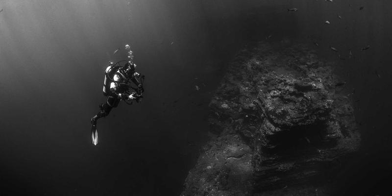 反向交易83：揭秘这一颠覆性交易策略在金融投资中的应用与分析