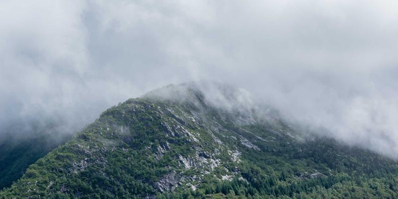 反向交易在期权策略中的创新应用：颠覆期货与股票市场的传统思维