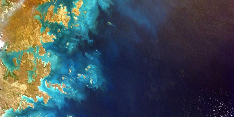 反向交易策略：外汇与期货市场中价值投资的智慧辅助