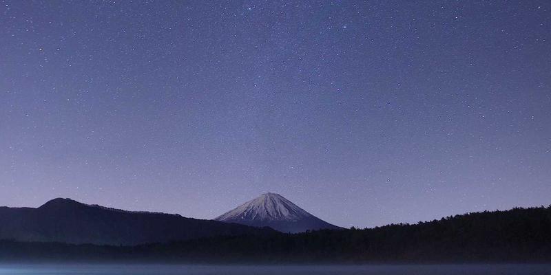 反向交易策略：如何利用市场情绪博弈实现金融投资超额收益