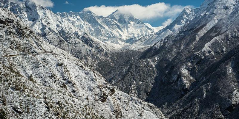 反向交易策略：期货市场中的逆向思维与风险控制之道
