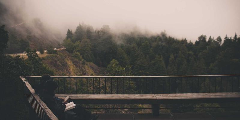 反向交易策略深度解析：如何在外汇市场中运用逆向思维实现稳健收益