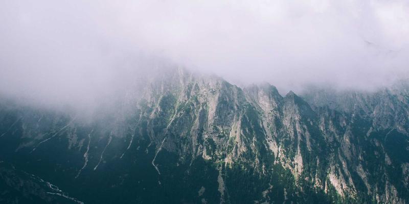 反向交易策略深度解析：如何在外汇市场中逆势捕捉反转机遇