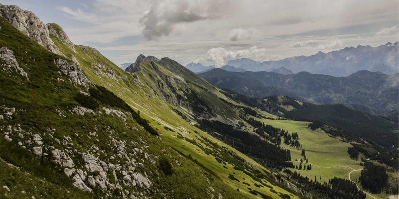 反向交易策略深度解析：期货与外汇市场的逆向思维盈利法则