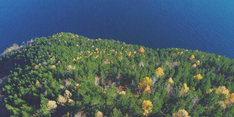 反向交易：颠覆传统思维，在金融投资与外汇市场中的逆向制胜策略