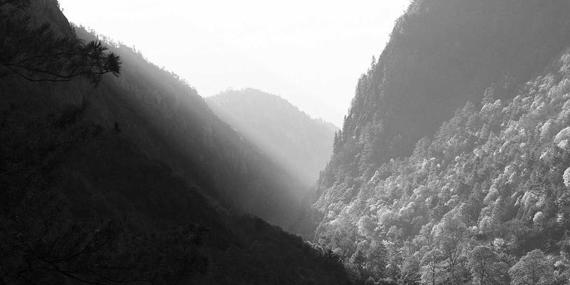 大宗商品超级周期末端的反向交易策略：以铜博士和原油为例的逆向投资分析框架