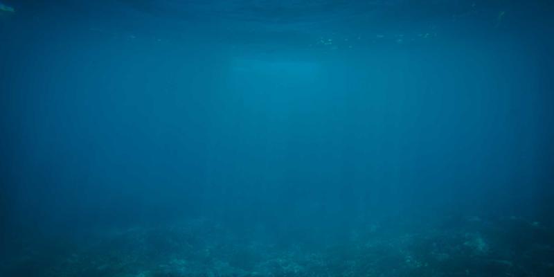 恐慌性抛售后的“废墟淘金”：运用逆向思维挖掘公司债券市场的反向交易价值