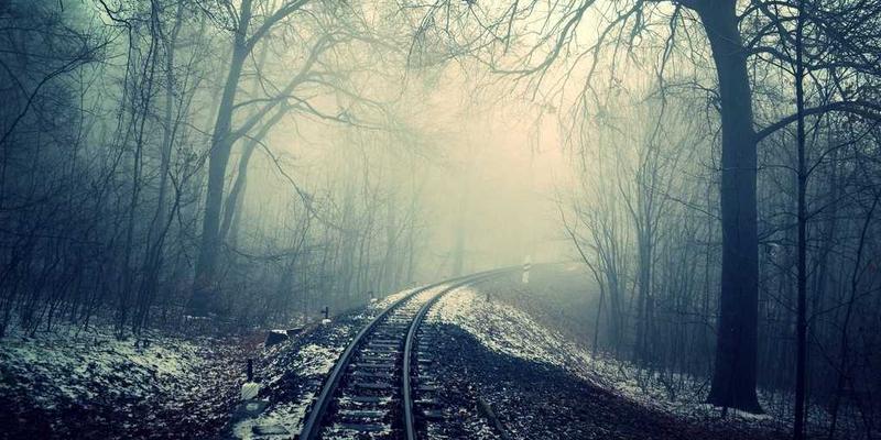 揭秘“买谣言，卖事实”交易策略：外汇与股票市场的反向投资智慧