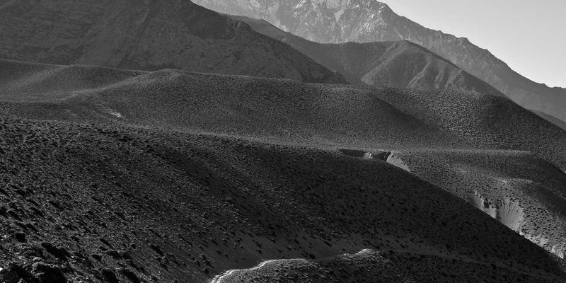 逆向思维制胜：利用期权波动率偏斜构建外汇反向交易组合