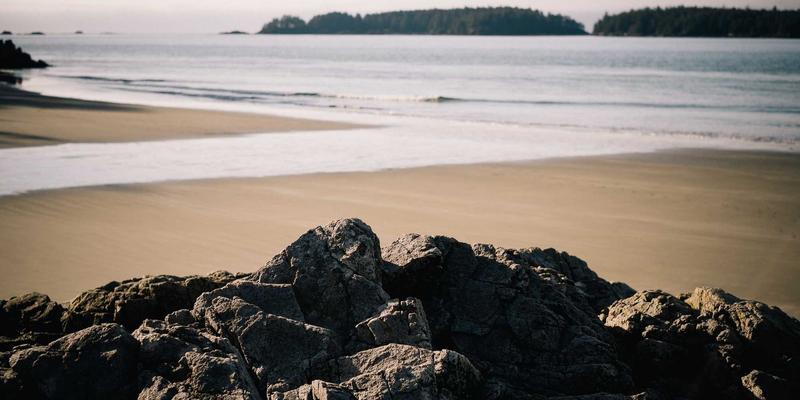 逆向思维制胜：如何利用Reddit与Twitter情绪指数预测股票与期货市场反转