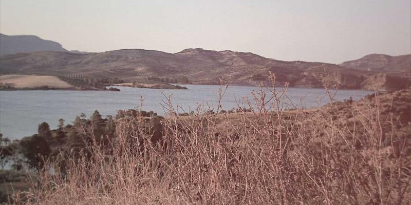 逆向思维制胜：如何利用社交媒体情绪指数捕捉做空信号——以WallStreetBets热潮为例