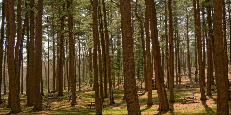 逆向思维制胜：如何运用市场情绪指标对比特币进行反向交易