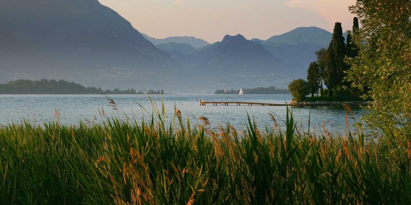 逆向思维制胜：揭秘利用VIX波动率指数进行反向交易的系统方法